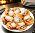 Fresh Scallops