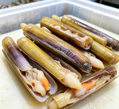 Fresh Bamboo Clams